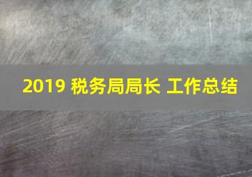 2019 税务局局长 工作总结